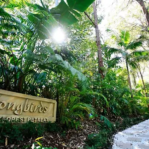 Songbirds Rainforest Retreat Mount Tamborine